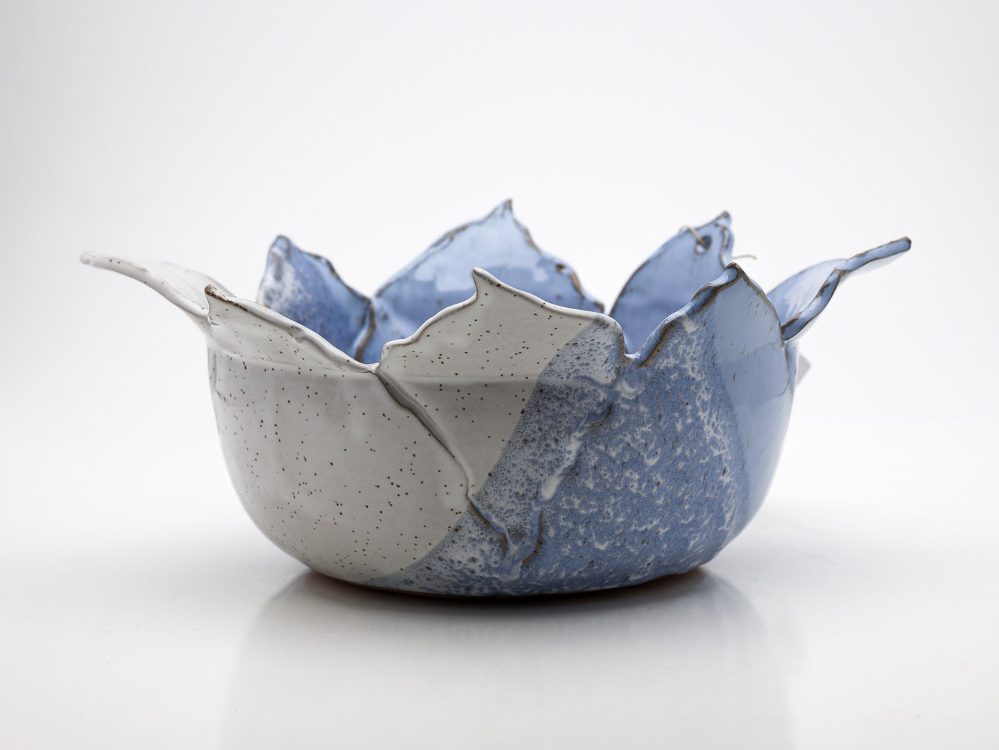 Hand Built Leaf Bowl